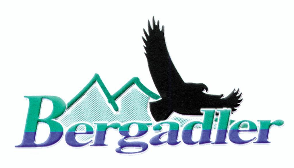 Bergadler Lägenhet Iselsberg-Stronach Rum bild